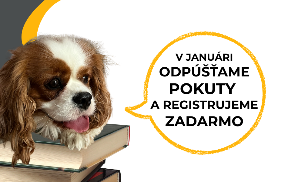 POKUTY REGISTRACE JANUÁR web (950 x 600 px)